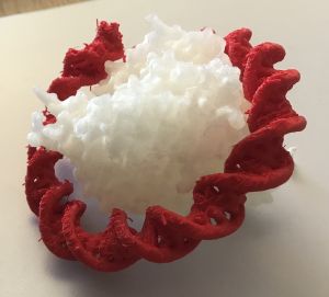 Histone-1-tourADN.jpg
