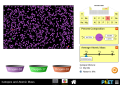 Thumbnail for version as of 17:52, 9 April 2021