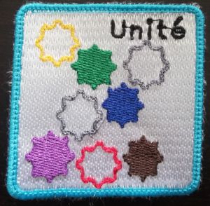 Unite desgens.jpg