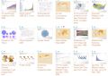 Thumbnail for version as of 17:52, 9 April 2021