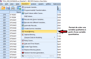 Visual binning spss.png