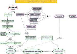 Motivation pour autodetermination v2.jpg