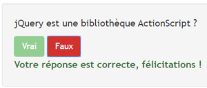Questionnairejqueryversion1faux.png