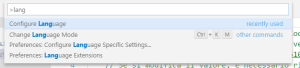 VSC commande pour configurer la langue.png