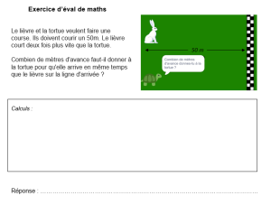 Simulation - Lièvre et Tortue - exo.png