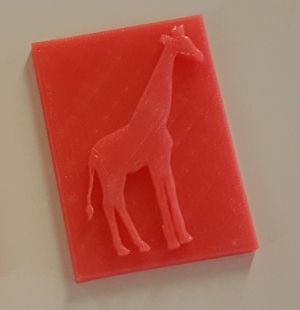 Girafe.jpg