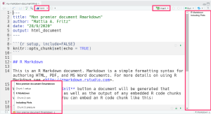 RStudio Rmarkdown interface.png