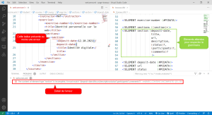 Visual studio code XML editor page travaux.png