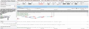 Telomere-NNNNN-chr7-inGDV.jpg