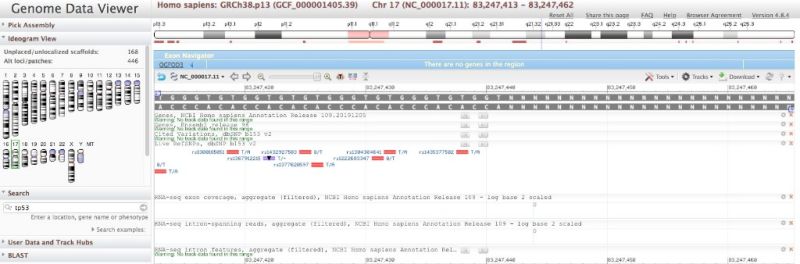 File:Telomere-NNNNN-chr7-inGDV.jpg