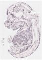 Thumbnail for version as of 18:01, 9 April 2021
