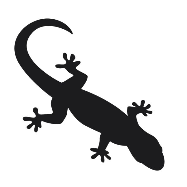 File:Lezard 46.jpg