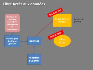 Dessin2.png