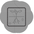 Thumbnail for version as of 12:56, 1 September 2022
