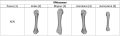Thumbnail for version as of 18:03, 9 April 2021