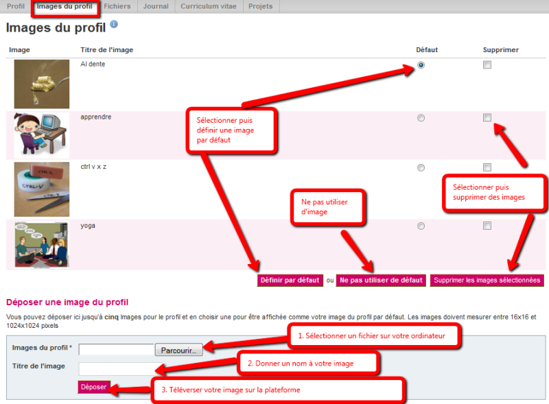 File:Mahara image profil.png