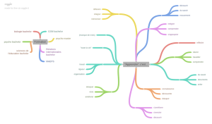 Mindmap Interviews Funky.png