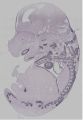 Thumbnail for version as of 18:03, 9 April 2021