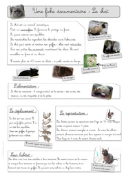 ← previous page