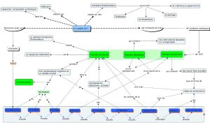 Modele act.cmap.jpg