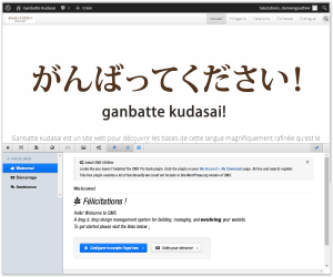 Wordpress - DMS2 - Ecran d'accueil.PNG