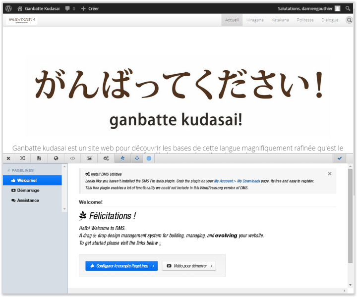 File:Wordpress - DMS2 - Ecran d'accueil.PNG