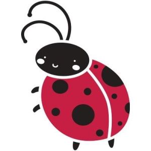 Coccinelle.jpeg