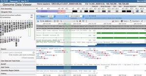 Tata-box-hihlighted-in-DLK1-chr14-in-GDV.jpg