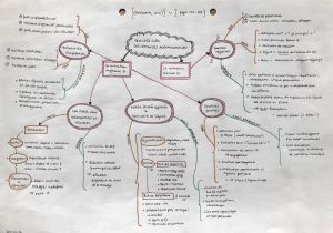 MindMap dja.jpg