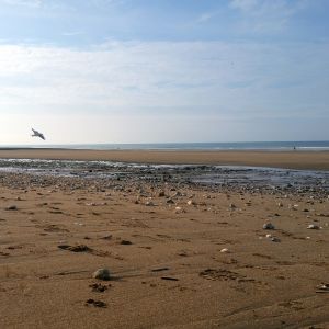 La plage.jpg
