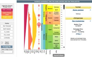 Timetree.org-sample-screen-homo-chimp.jpg