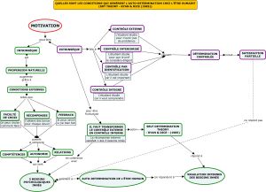 Motivation pour autodetermination v3.jpg