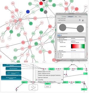 Cytoscape screenshot.jpg