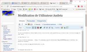 Écran wiki.png