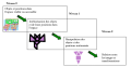 Thumbnail for version as of 18:03, 9 April 2021