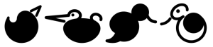 Oiseaux avec les chemins séparés.png