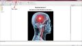 Thumbnail for version as of 18:03, 9 April 2021
