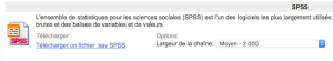 Qualtricsspss2.png