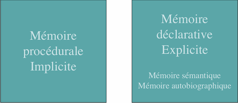 File:Divers types de memoires et de taches.gif