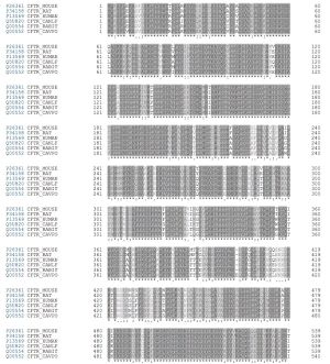 CFTR-alignement-similarity-narrow.jpg