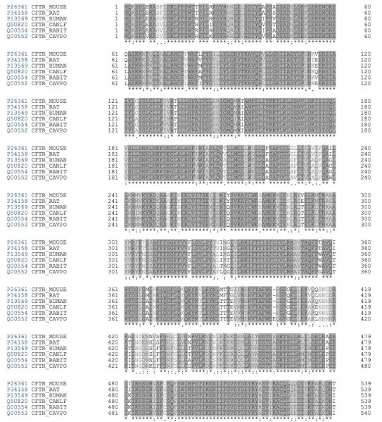 File:CFTR-alignement-similarity-narrow.jpg