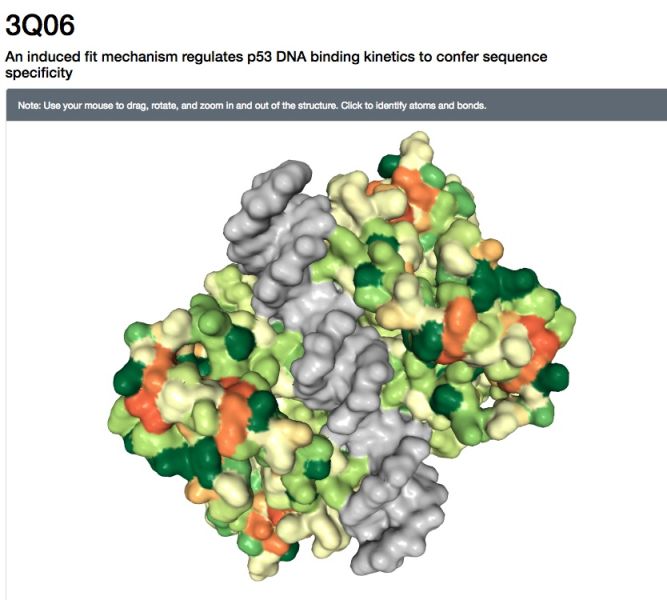 File:3Q06-p53-onPDB.jpg
