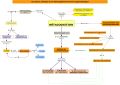 Thumbnail for version as of 18:03, 9 April 2021