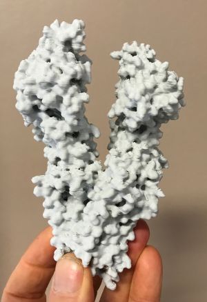 CFTR-sain-printed.jpg