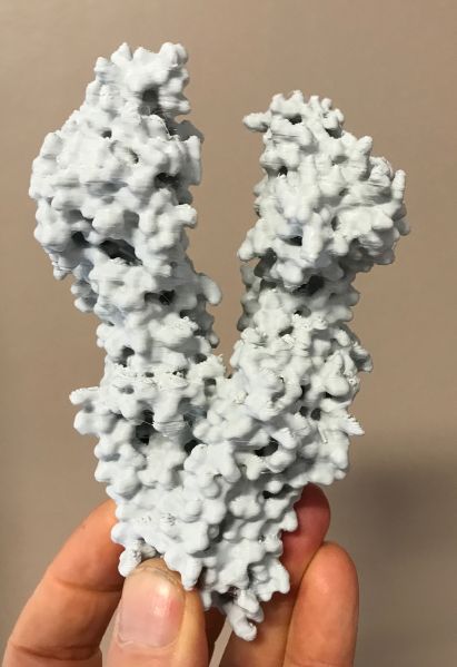 File:CFTR-sain-printed.jpg