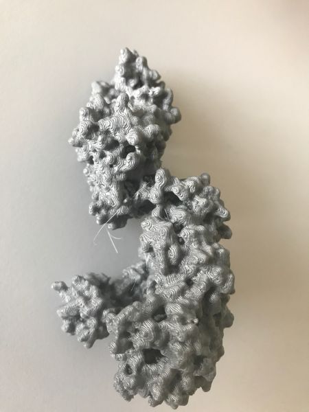File:1TAU-Taq-polymerase imprimée-3D.jpg