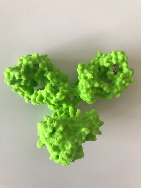 File:1igy-immunoglobuline.jpg