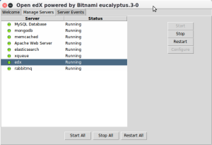 Bitnami-console.png