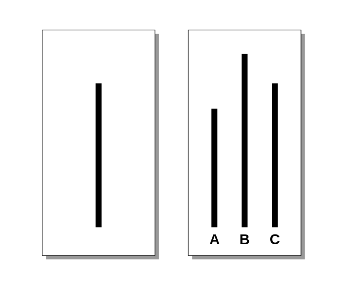 File:Asch experiment.png
