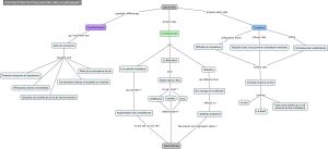 Carte Conceptuelle Flow v1 (Quentin).jpg